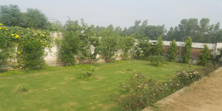 Plot #496 For Sale In DHA Phase 6 - Block C